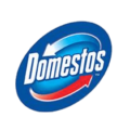 domestos domestos