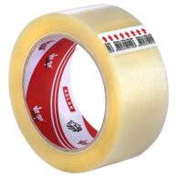 Ve-Ge Aslan Koli Bandı 45X40 Şeffaf