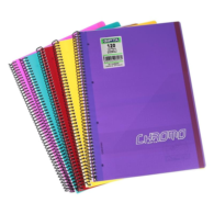 Gıpta Chromo Defter Çizgili Spiralli PP Kapak 21 cm x 29.7 cm 120 Yaprak