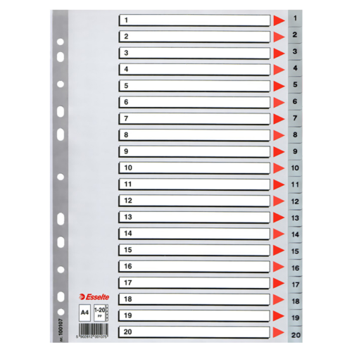 Esselte 100107 Plastik Seperatör A4 1-20 Rakam